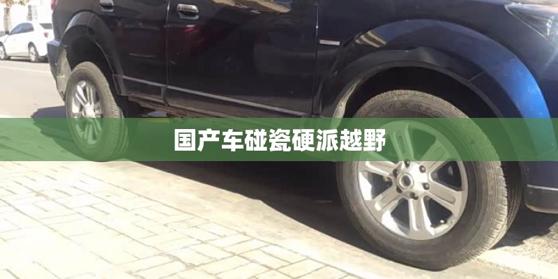 徐永清的人生经历