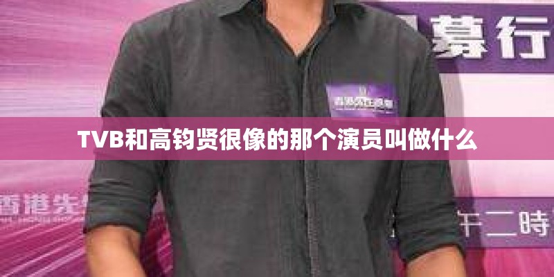 TVB和高钧贤很像的那个演员叫做什么 TVB和高钧贤很像的那个演员叫做什么