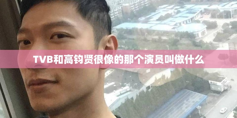 TVB和高钧贤很像的那个演员叫做什么 TVB和高钧贤很像的那个演员叫做什么