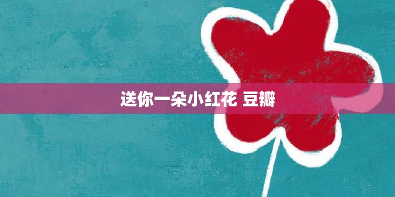 送你一朵小红花 豆瓣