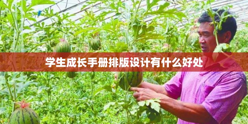 学生成长手册排版设计有什么好处