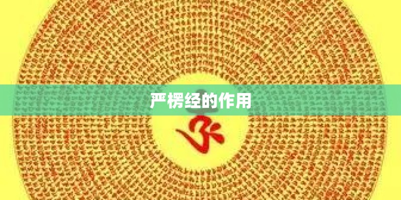 艾迪的演艺经历