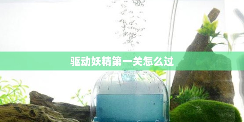 艾迪的演艺经历