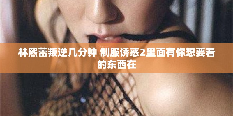 李向东的人物简历