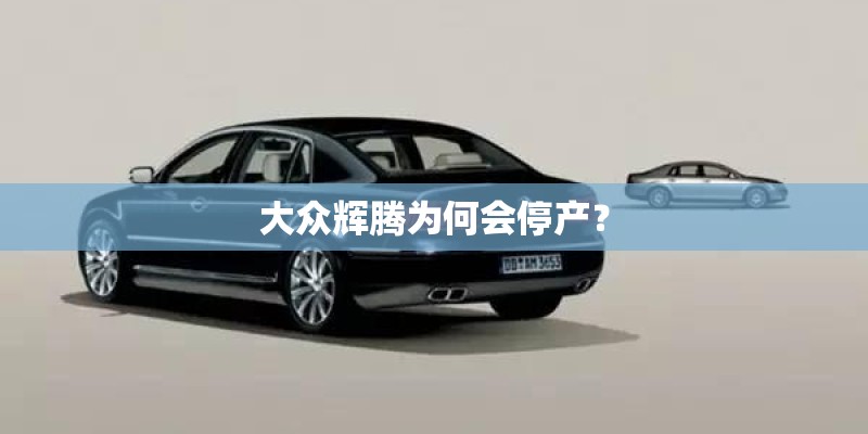 艾迪的演艺经历