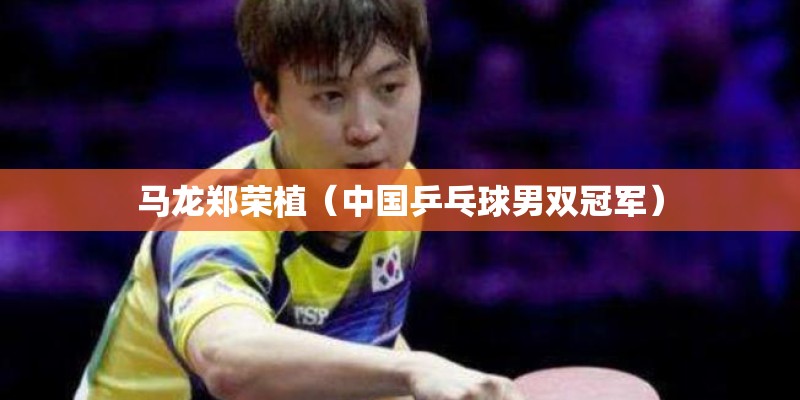 马龙郑荣植（中国乒乓球男双冠军）