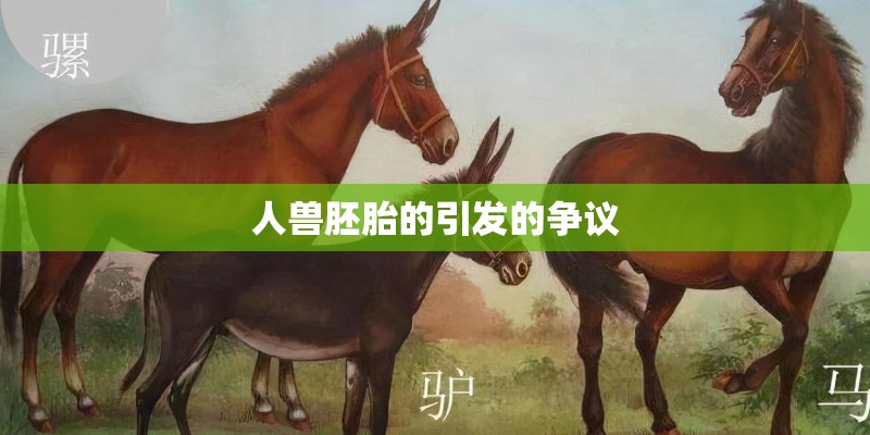 求人教版五年级下册数学四单元概念
