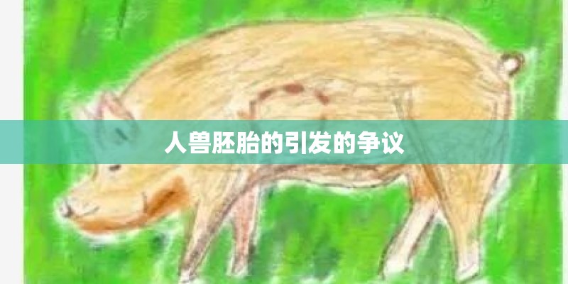 人兽胚胎的引发的争议