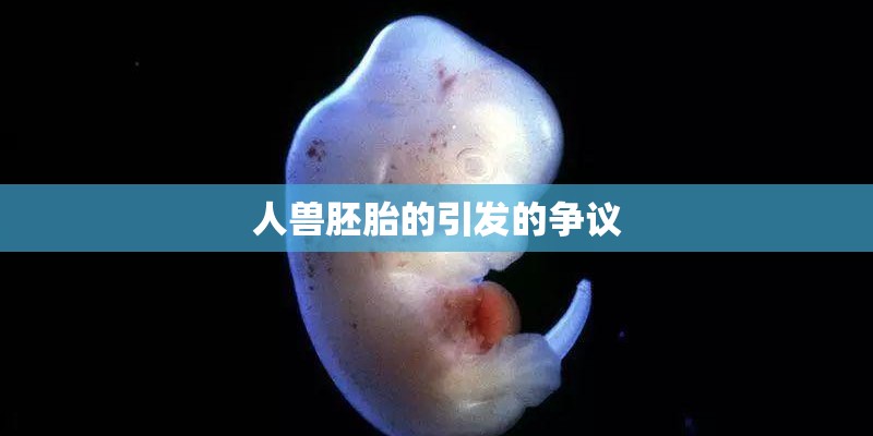 人兽胚胎的引发的争议