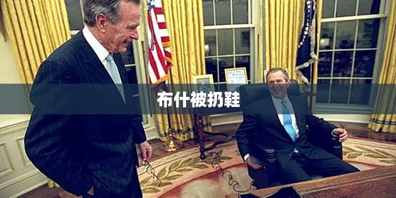 布什被扔鞋 布什被扔鞋