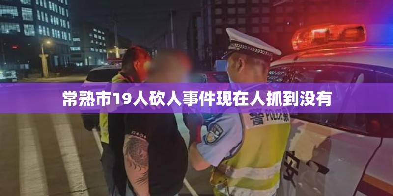 常熟市19人砍人事件现在人抓到没有