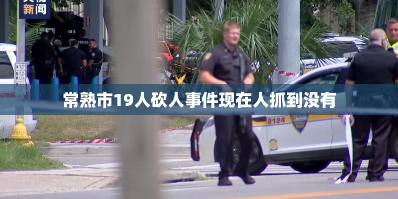 常熟市19人砍人事件现在人抓到没有