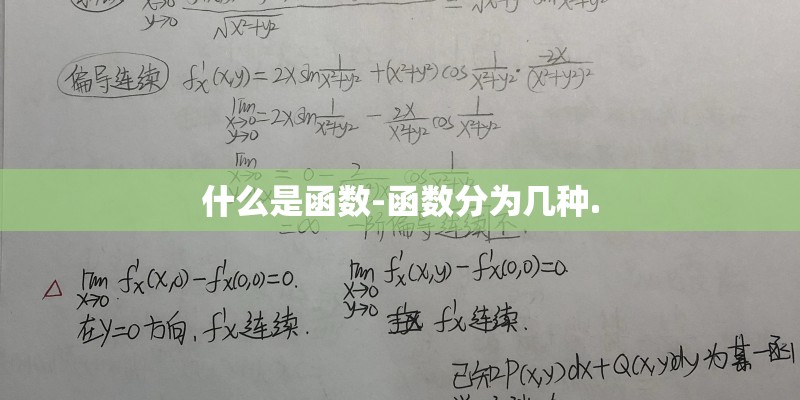 李向东的人物简历