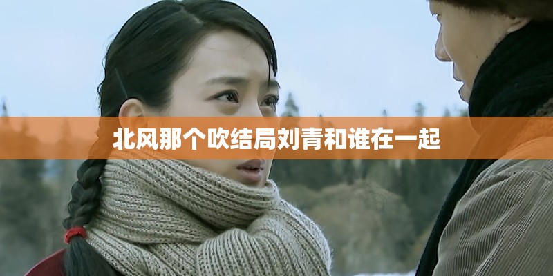 北风那个吹结局刘青和谁在一起