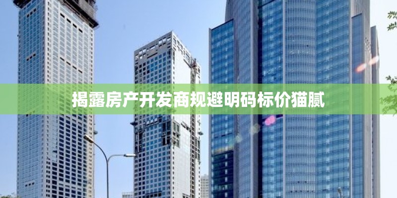 揭露房产开发商规避明码标价猫腻