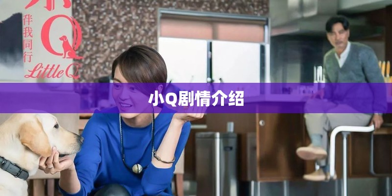 小Q剧情介绍