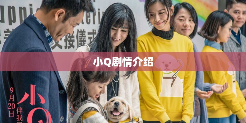 小Q剧情介绍