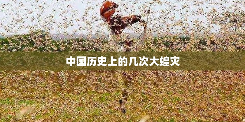中国历史上的几次大蝗灾