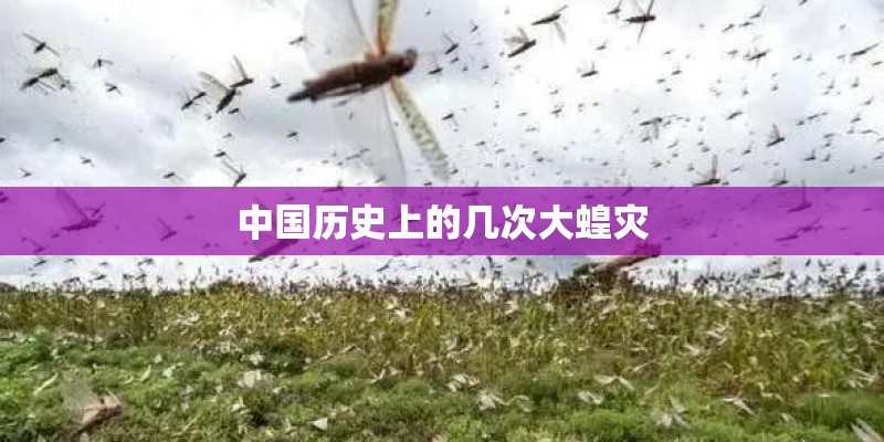 中国历史上的几次大蝗灾