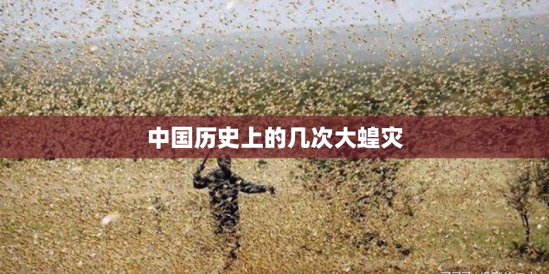 中国历史上的几次大蝗灾