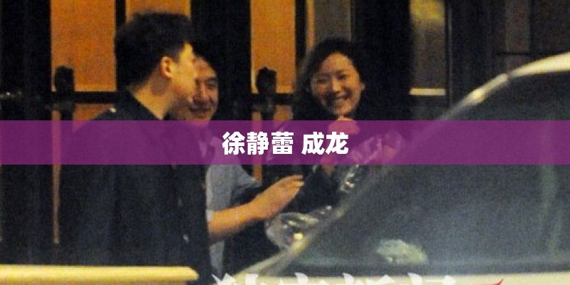 徐静蕾 成龙 徐静蕾 成龙