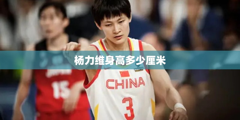 谐音联的趣联鉴赏