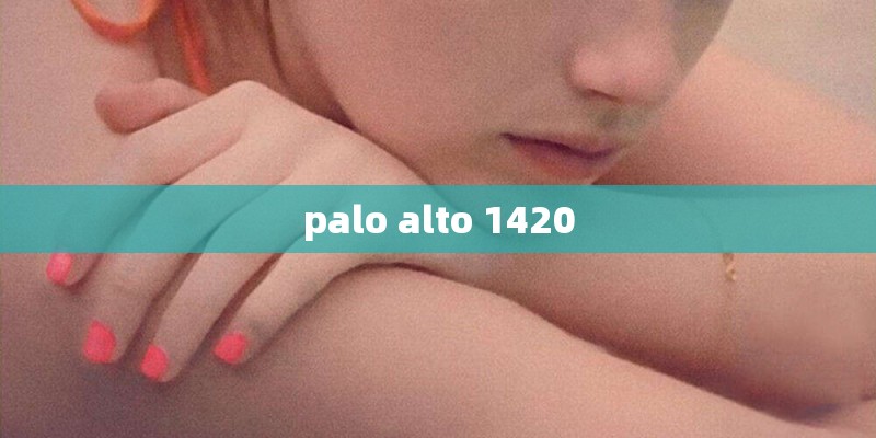 palo alto 1420