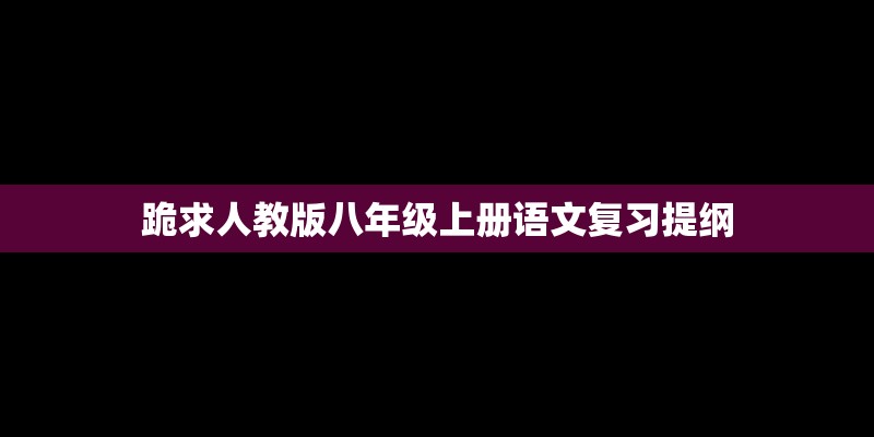 张广宁的人物履历