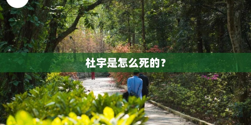 杜宇是怎么死的? 杜宇是怎么死的?