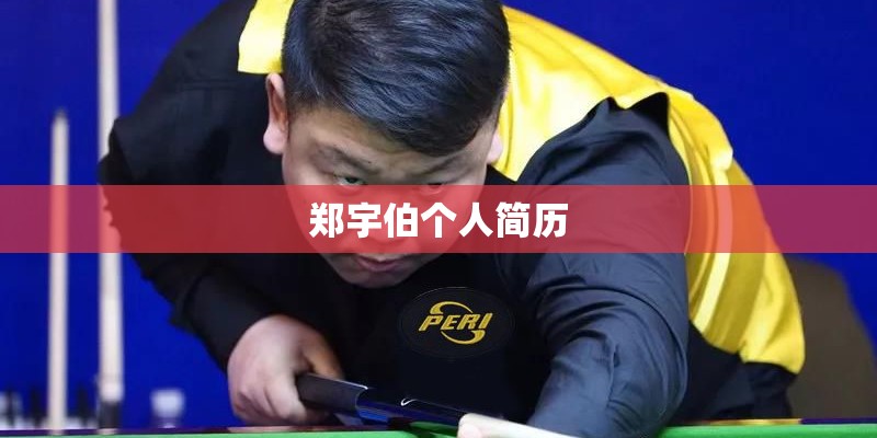 跪求人教版八年级上册语文复习提纲