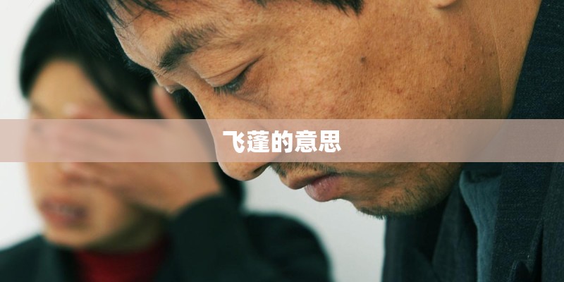 飞蓬的意思