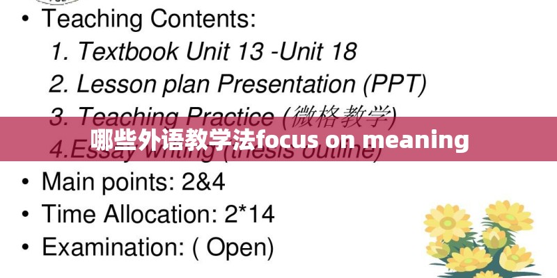 哪些外语教学法focus on meaning 哪些外语教学法focus on meaning