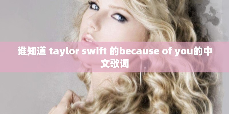 谁知道 taylor swift 的because of you的中文歌词 谁知道 taylor swift 的because of you的中文歌词