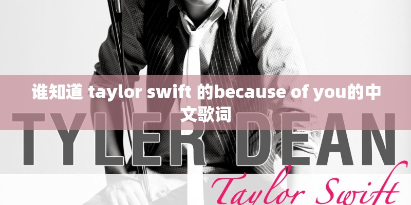 谁知道 taylor swift 的because of you的中文歌词 谁知道 taylor swift 的because of you的中文歌词