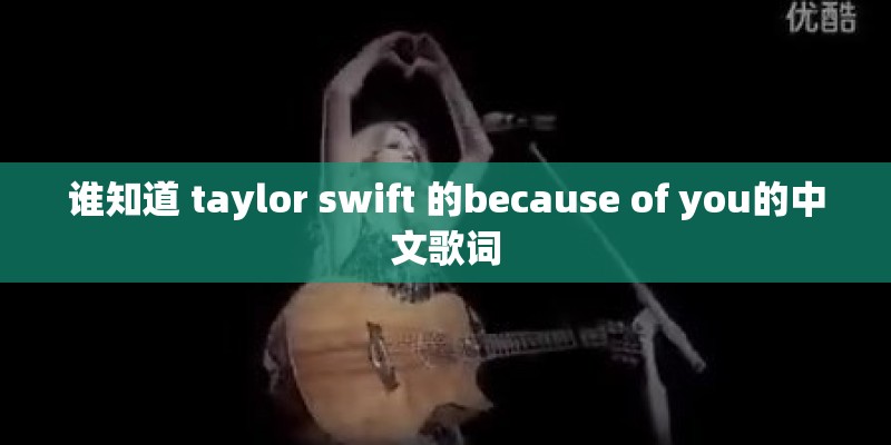 谁知道 taylor swift 的because of you的中文歌词 谁知道 taylor swift 的because of you的中文歌词