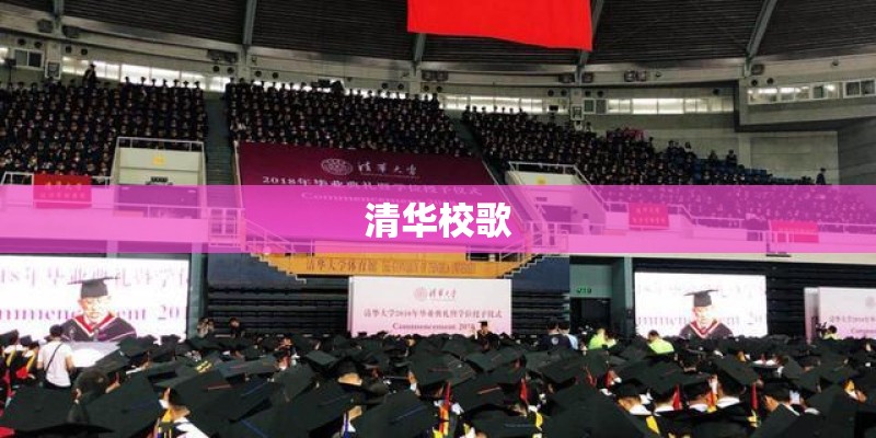 女星挺G奶闯江湖 事业线越深越红火