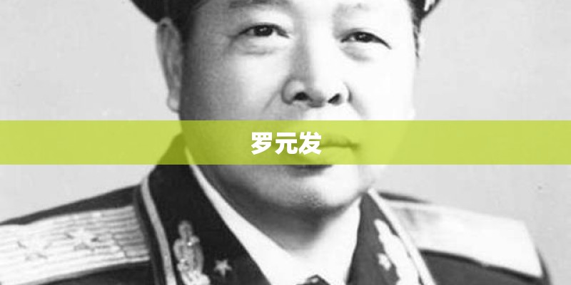 罗元发