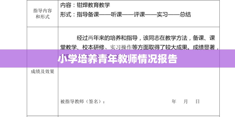 小学培养青年教师情况报告