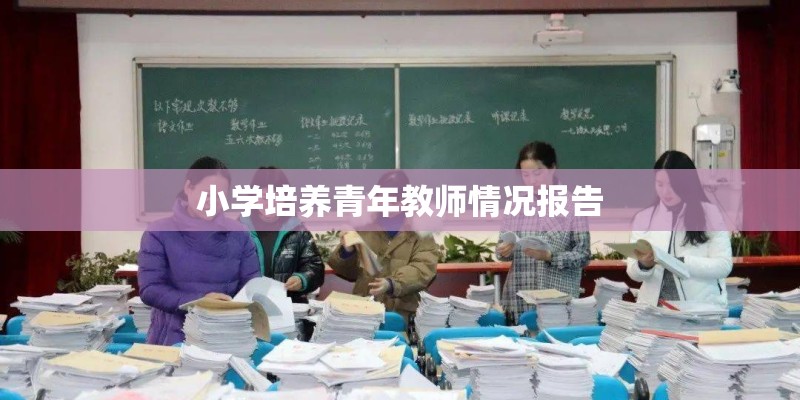 小学培养青年教师情况报告