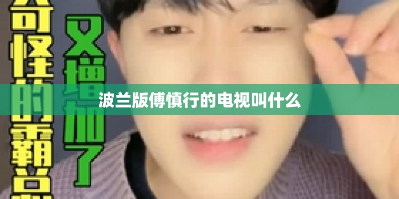 波兰版傅慎行的电视叫什么