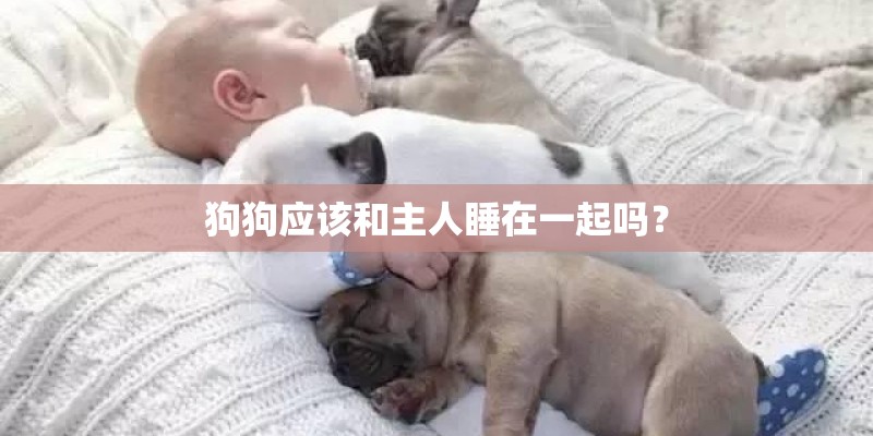 狗狗应该和主人睡在一起吗？