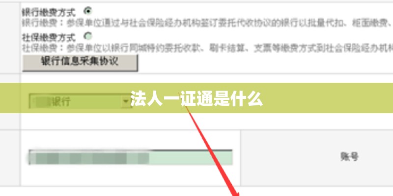法人一证通是什么
