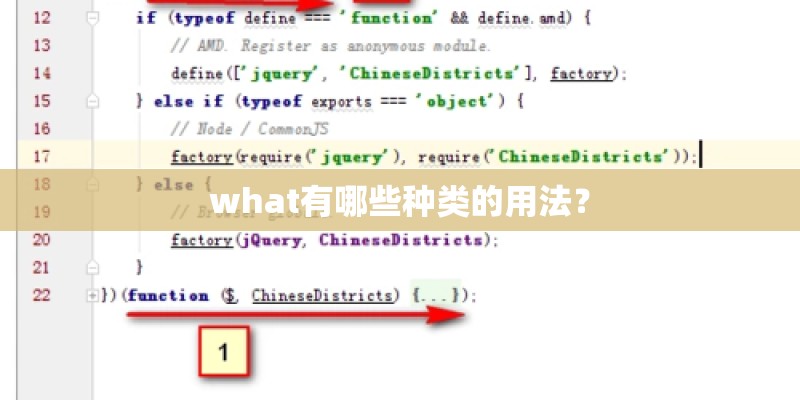 what有哪些种类的用法? what有哪些种类的用法?