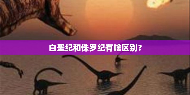 河北恒利学校的师资队伍