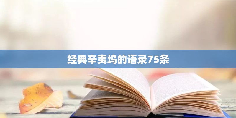 经典辛夷坞的语录75条 经典辛夷坞的语录75条