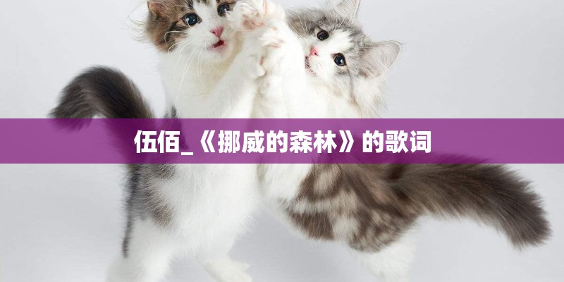 伍佰_《挪威的森林》的歌词 伍佰_《挪威的森林》的歌词