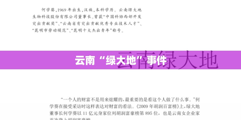 云南“绿大地”事件