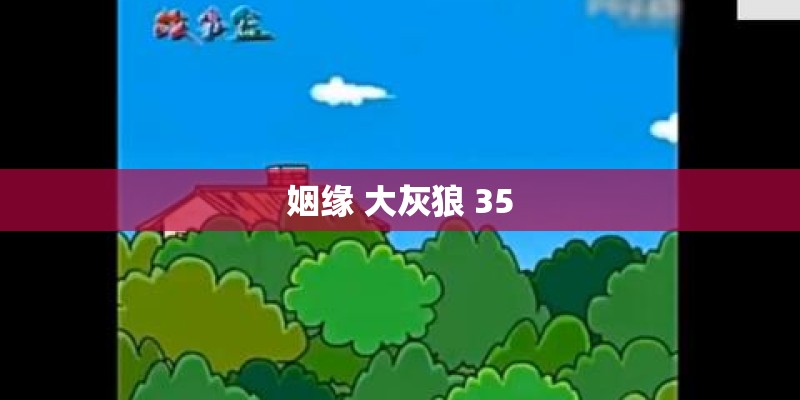 姻缘 大灰狼 35