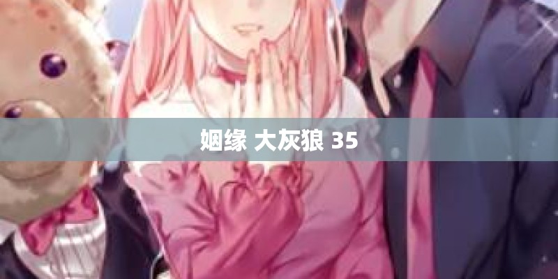 姻缘 大灰狼 35