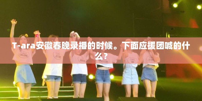 T-ara安徽春晚录播的时候。下面应援团喊的什么？